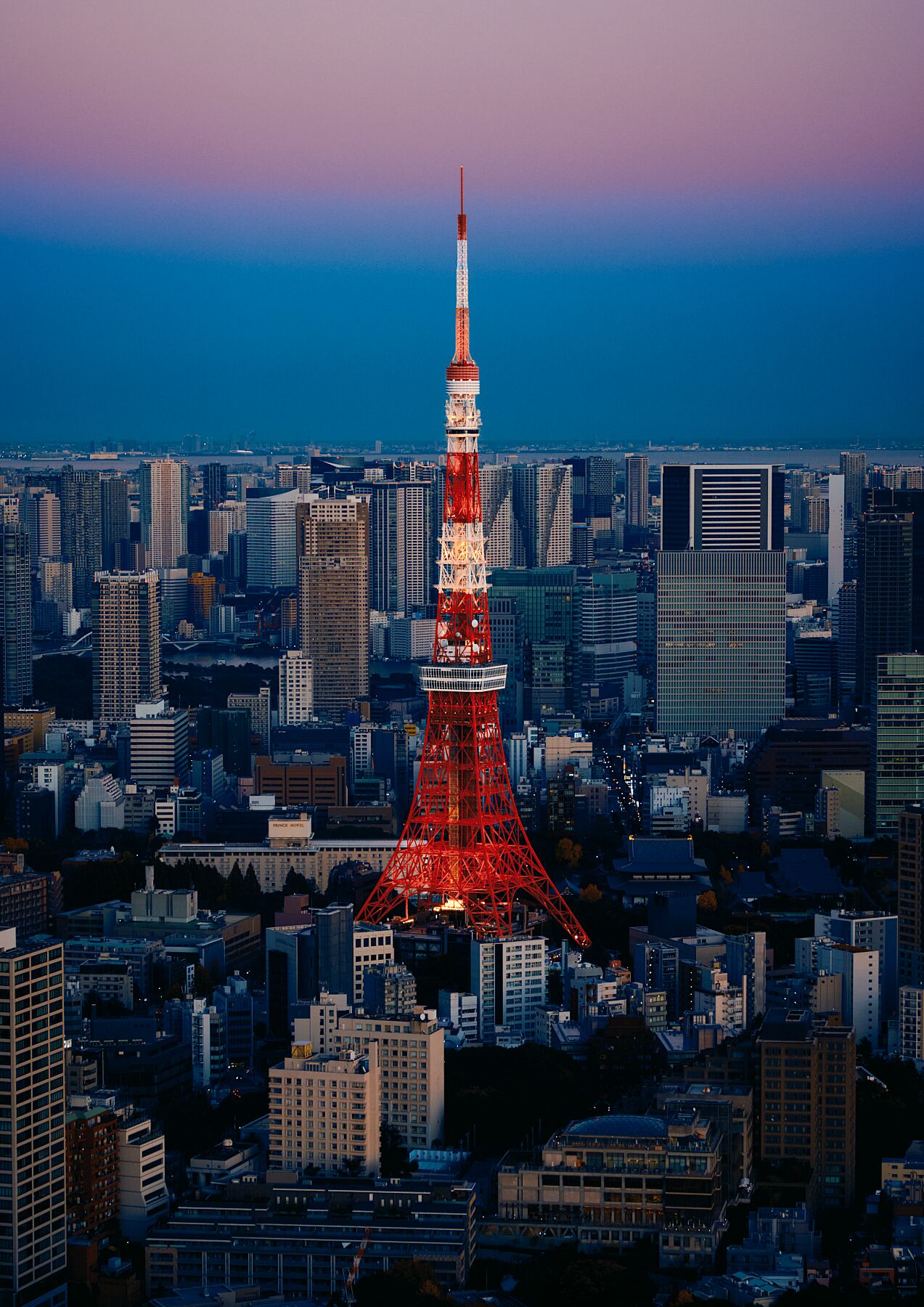 Shades of Tokyo Tower