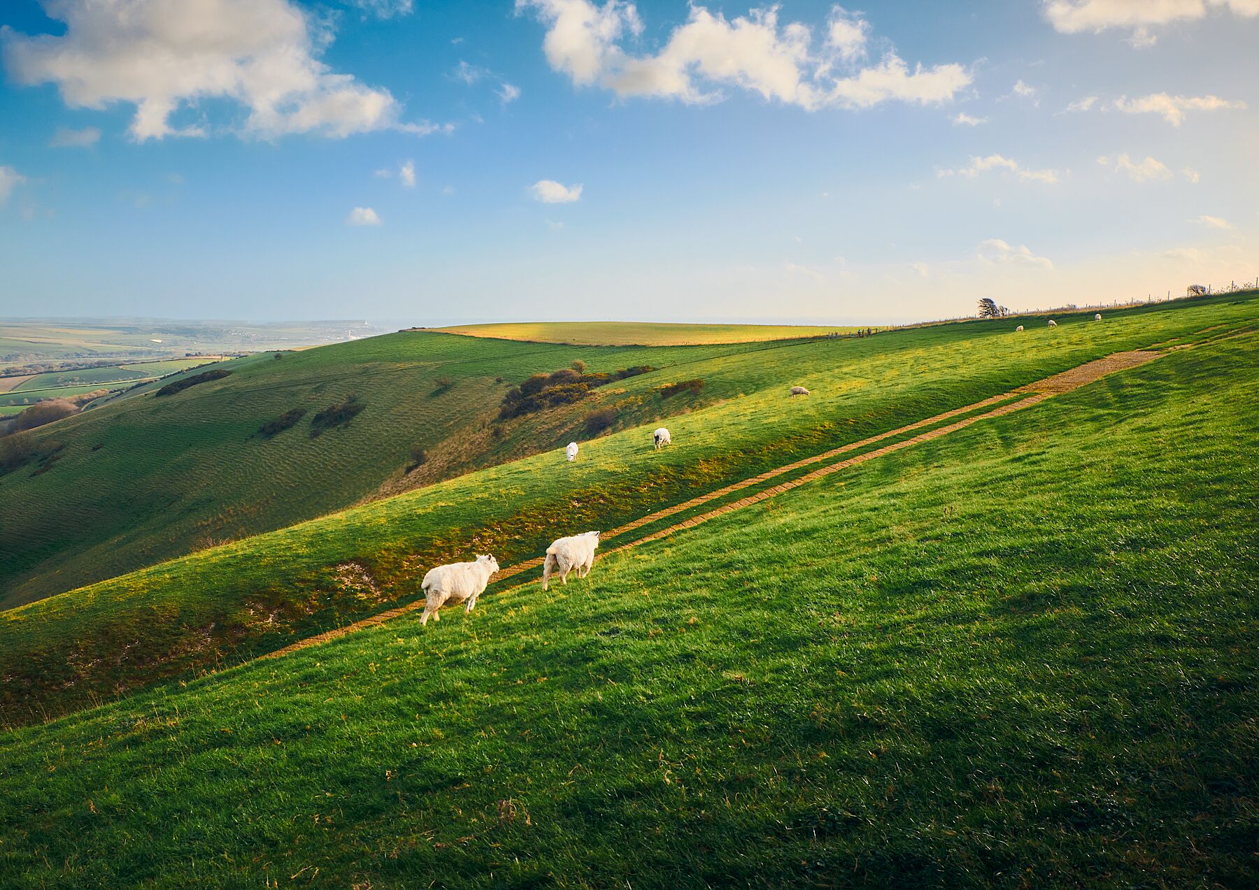 The Rolling Hills of South Downs National Park - Scenic Photo Print fine art photography print by Boyan Georgiev